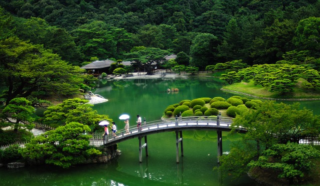 japonia ogród